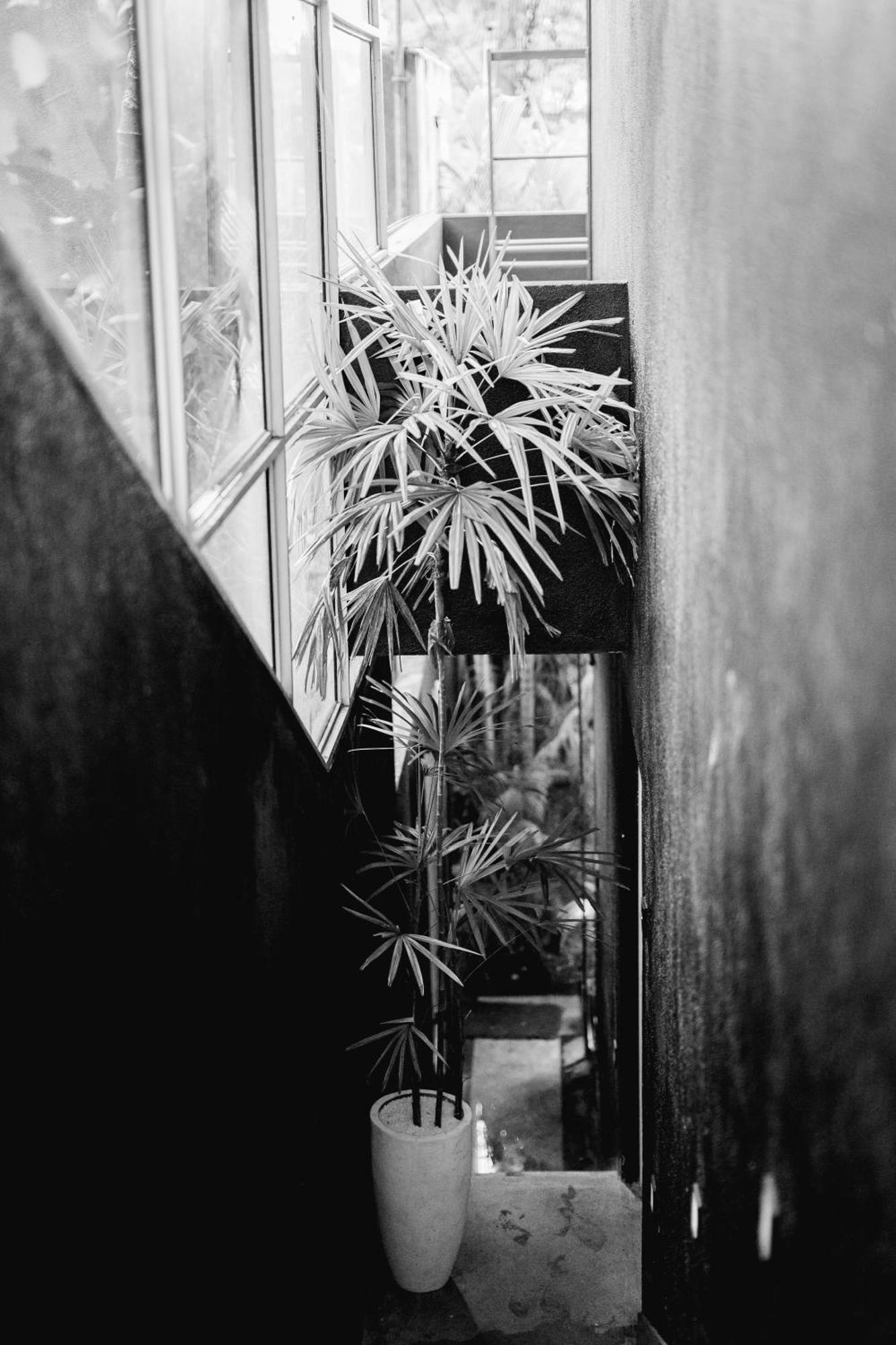 Sugar Hostel Weligama - Coliving & Coworking ภายนอก รูปภาพ