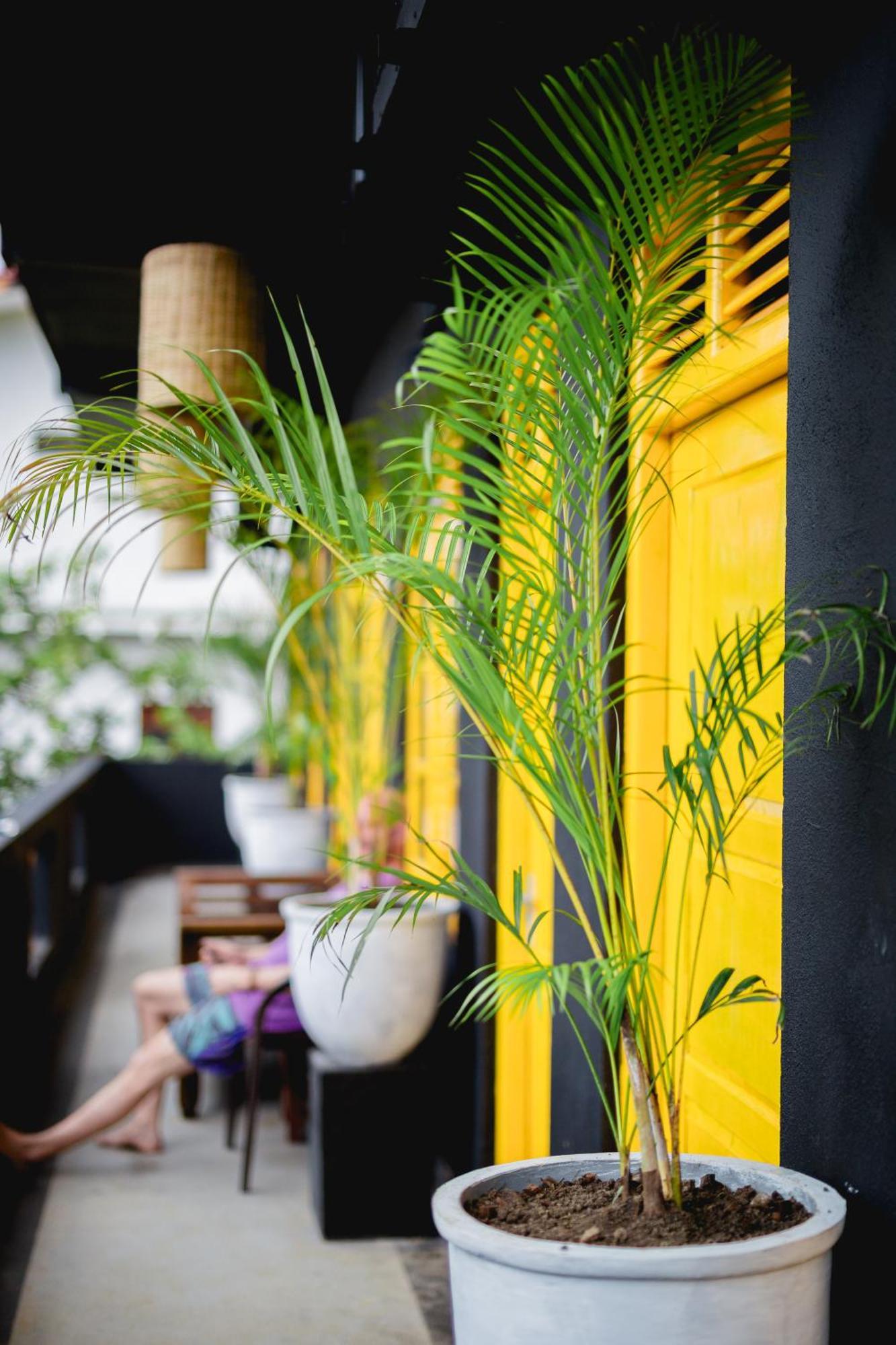 Sugar Hostel Weligama - Coliving & Coworking ภายนอก รูปภาพ