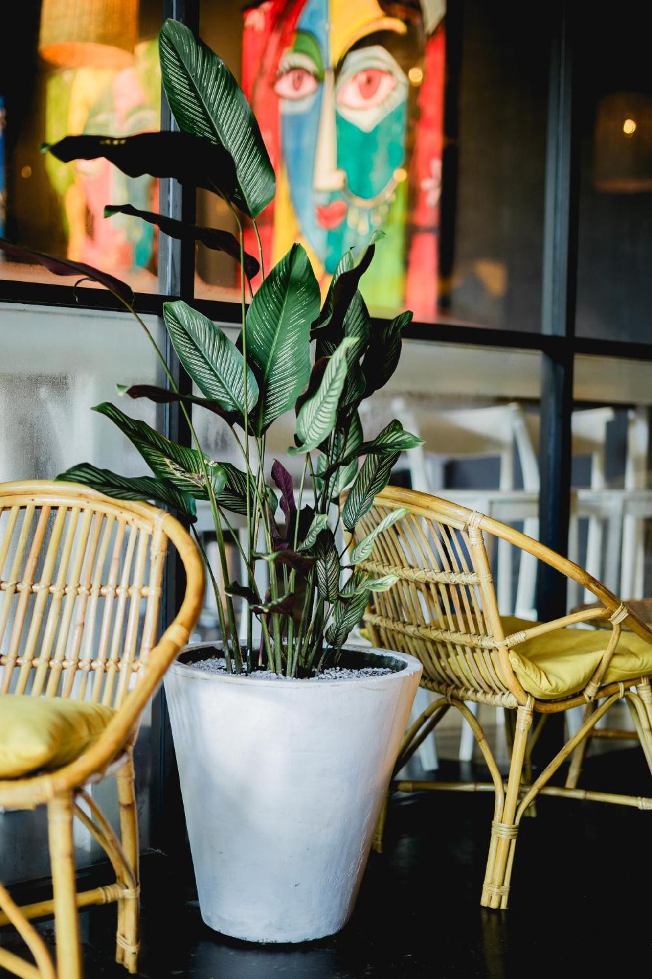 Sugar Hostel Weligama - Coliving & Coworking ภายนอก รูปภาพ